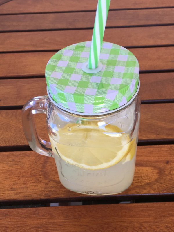 Homemade Ginder Lemonade Recipe - Ioanna's Notebook
