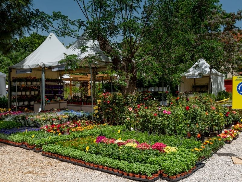 Ανθοκομική Έκθεση Κηφισιάς - Κήποι από 9 χώρες κοσμούν το Άλσος Κηφισιάς σε μια πανδαισία χρωμάτων και αρωμάτων. 