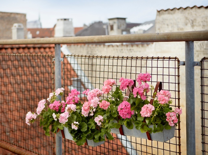 Μετατρέψτε το μπαλκόνι σας έναν μικρό παράδεισο στην πόλη με εντυπωσιακές DIY ιδέες με γεράνια για το μπαλκόνι. 
