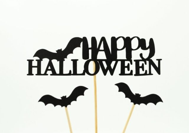 Halloween - Happy Spooky Season Ας αρπάξουμε την ευκαιρία αυτό το Σαββατοκύριακο και ας γιορτάσουμε το Halloween.