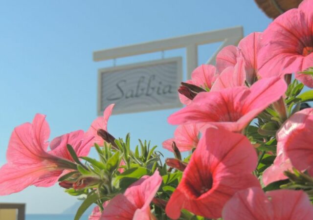 Sabbia all Day & Night Restaurant & Beach Bar | Υπόσχεται να σας προσφέρει αυθεντική Κερκυραϊκή και Ελληνική  κουζίνα, μια ανάσα από τα κύματα!