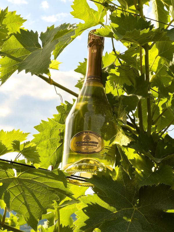 Η μαγεία της Champagne Frerejean Frères από τους αμπελώνες της διάσημης Côte des Blancs στην Ελλάδα!